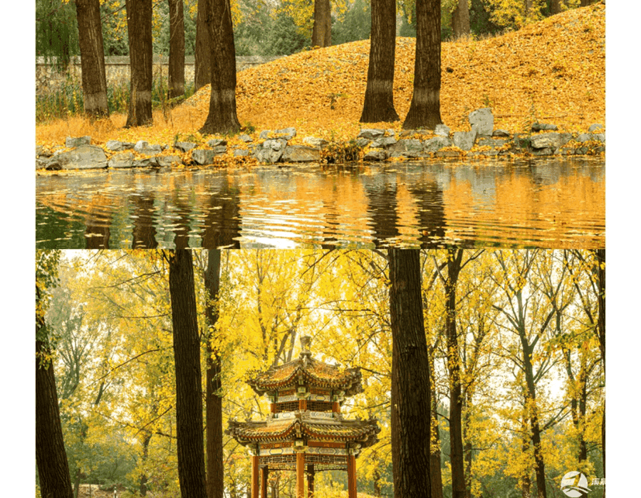 十二月份天津六日游费用(12月天津旅游)