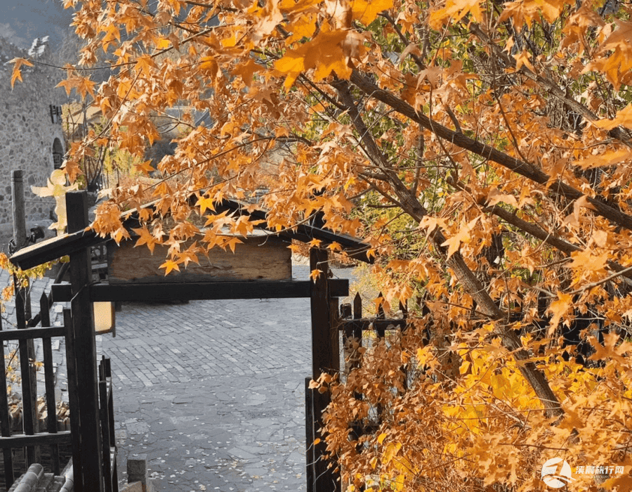 一月份香格里拉旅游去哪玩(一月份香格里拉旅游去哪玩合适)