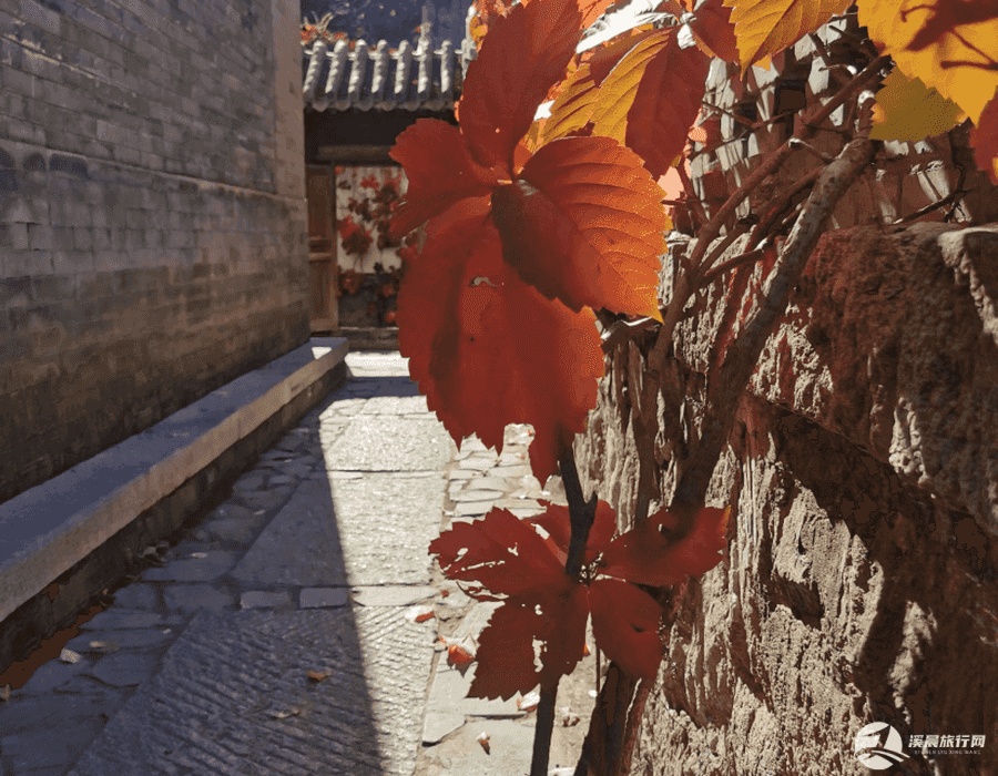 端午节重庆自由行攻略(重庆端午节自驾游去哪里玩)