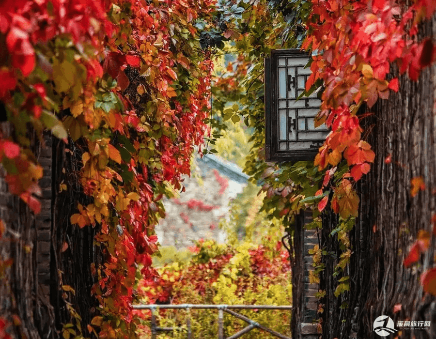 三月份重庆景点(三月份重庆景点开放吗)