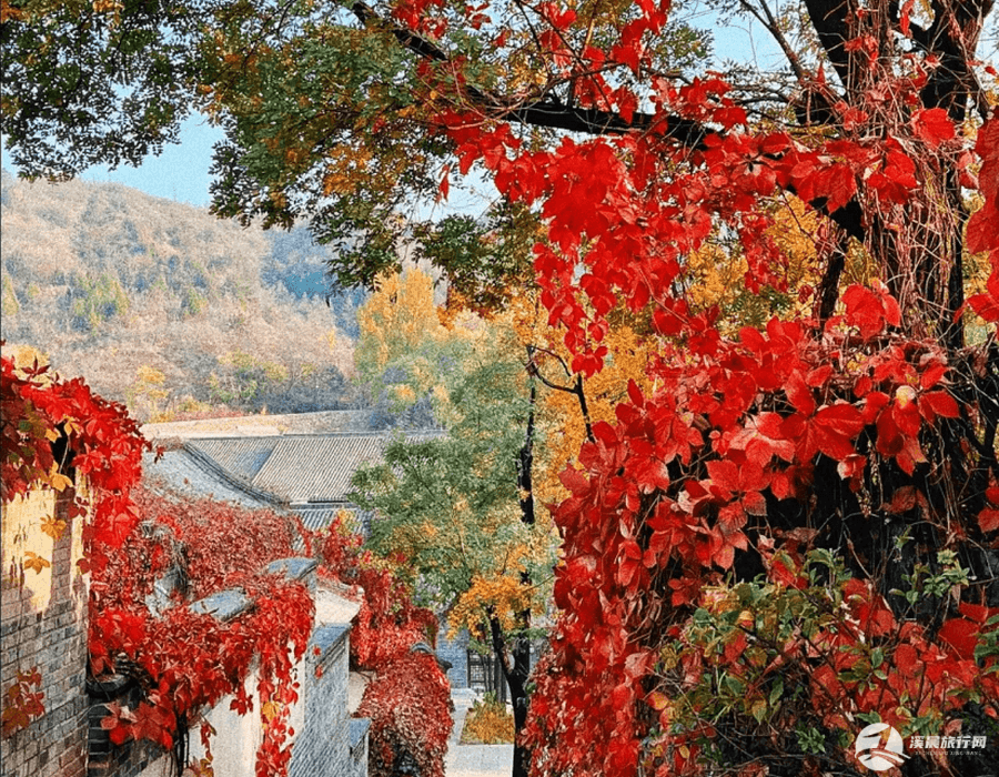 暑假假期香格里拉景点攻略(香格里拉景点景区)