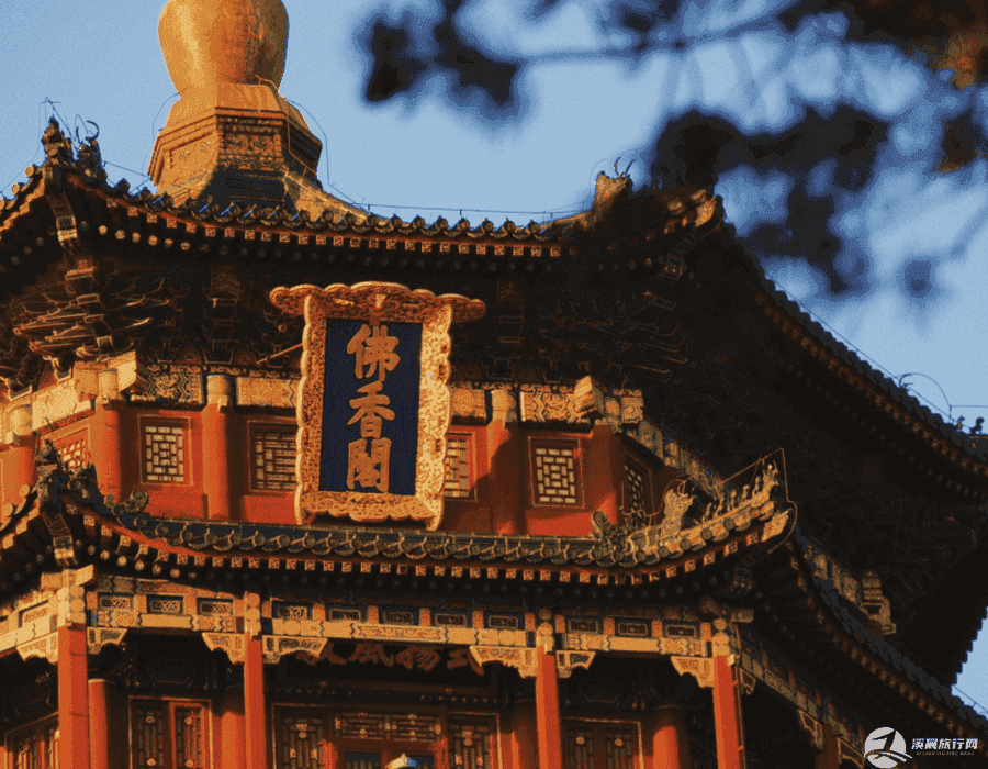 端午节南京旅游需要注意什么(端午节南京旅游需要注意什么事项)