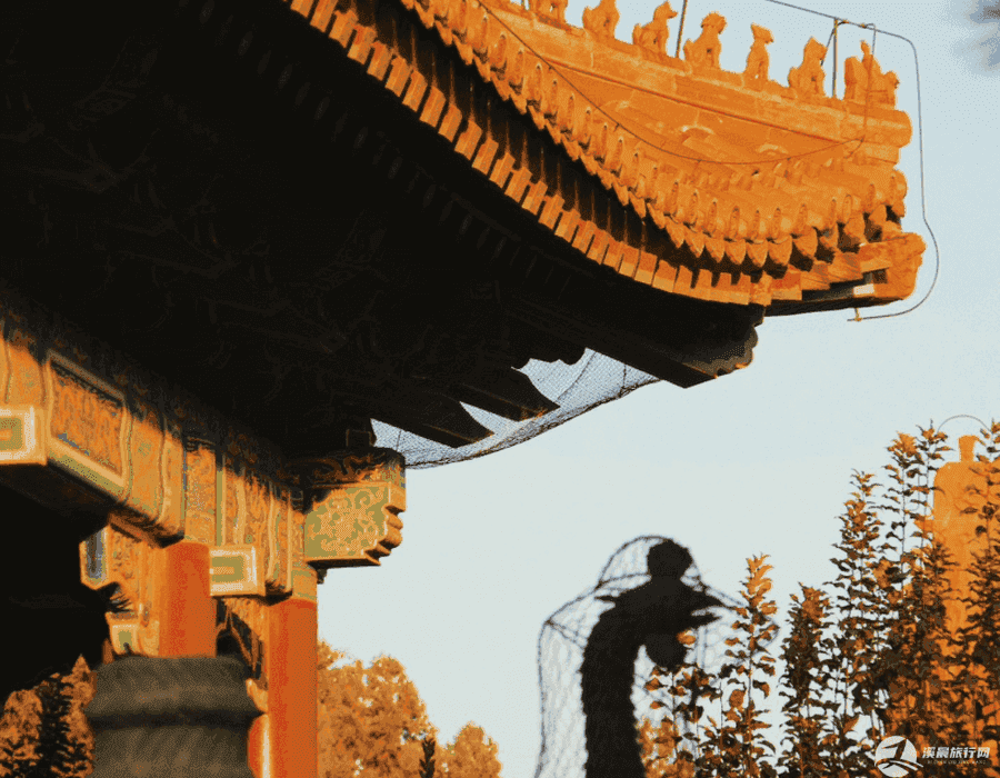 七月份上海五日游推荐(8月份上海游玩攻略六日游)