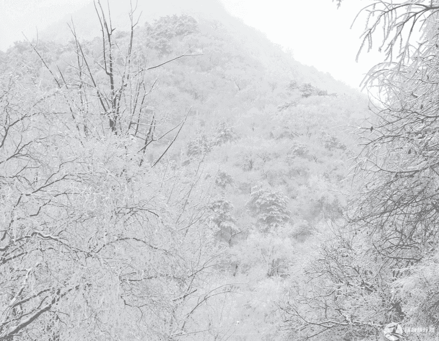 二月份丽江自由行费用(2月丽江旅游)