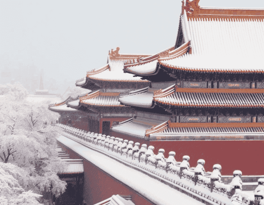 五一假期南京自驾游需要注意什么(五一假期南京自驾游需要注意什么事项)