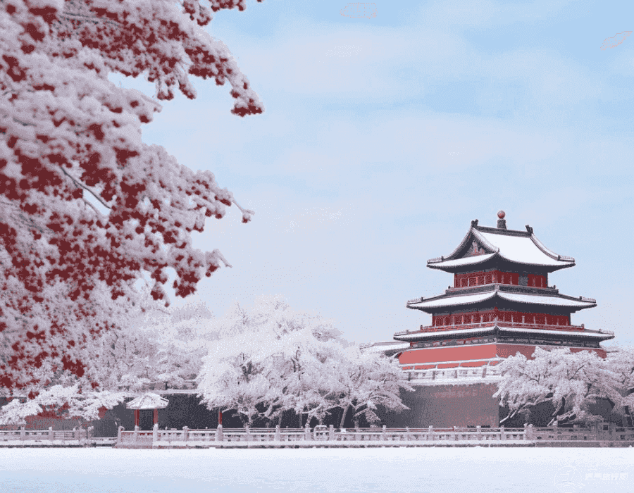 三月份大理旅游合适吗(三月份大理旅游合适吗现在)