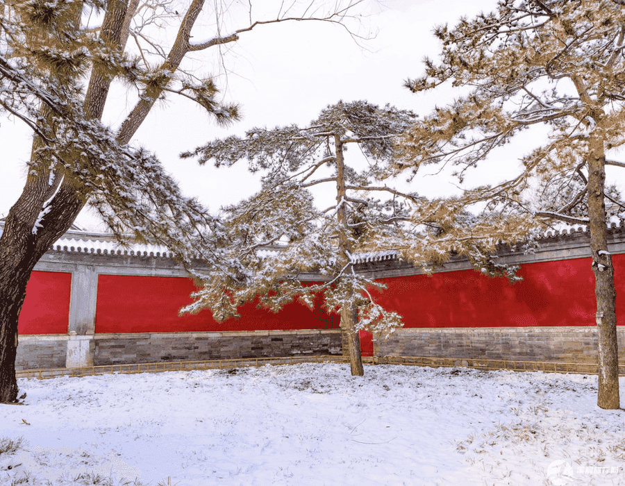 十月一假期重庆自由行怎么样(十月一重庆旅游攻略)