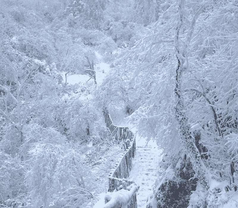 六月份重庆旅游合适吗(六月份重庆旅游合适吗现在)