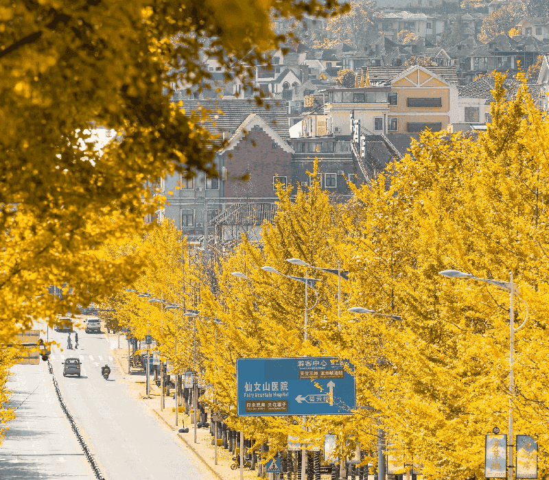 元旦假期重庆自驾游合适吗？路线推荐、美景体验