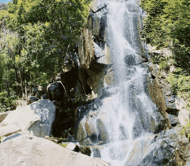 六月份天津自驾游去哪玩(6月天津旅游攻略)